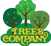 Trees Company, Christopher Altman, Certified Arborist and Tree Service Logo