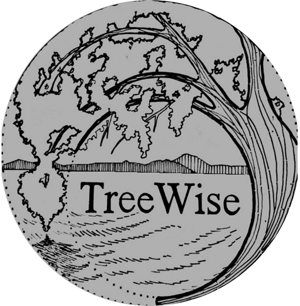 TreeWise LLC Logo