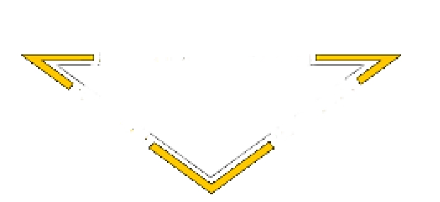 Tri-City Exterminating Co. Logo