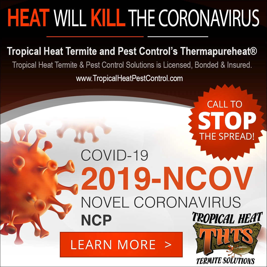 Tropical Heat Termite Solutions Logo