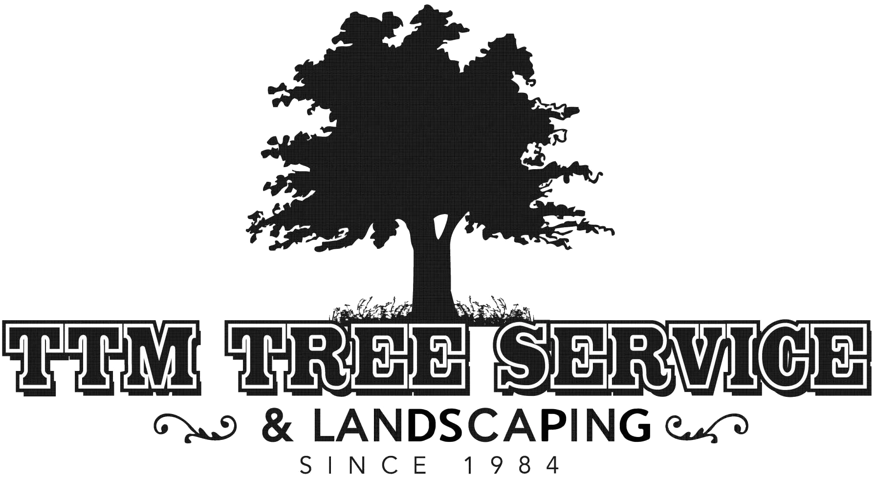TTM Tree Service & Landscaping Logo