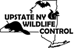 Upstate NY Wildlife Control Logo