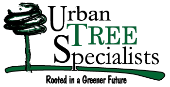 Urban Tree Specialists Logo