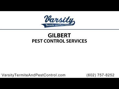 Varsity Termite and Pest Control Logo
