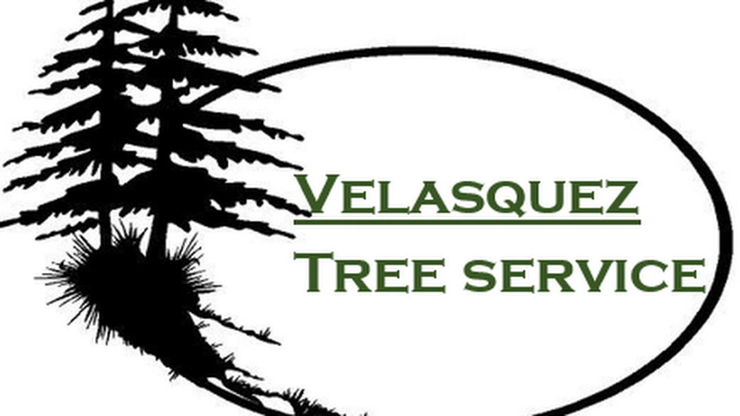 Velasquez Tree Service LLC Logo