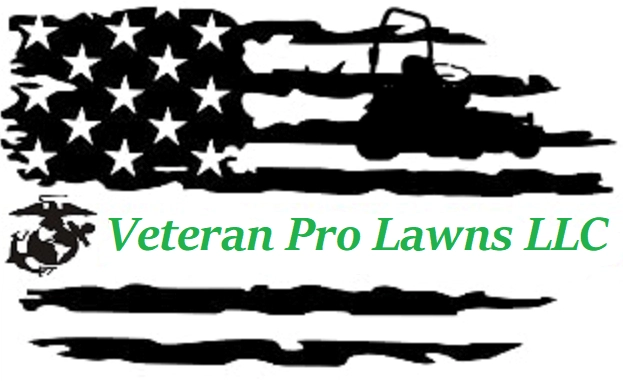 Veteran Pro Lawns LLC Logo