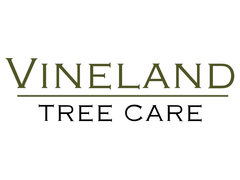 Vineland Tree Care Logo
