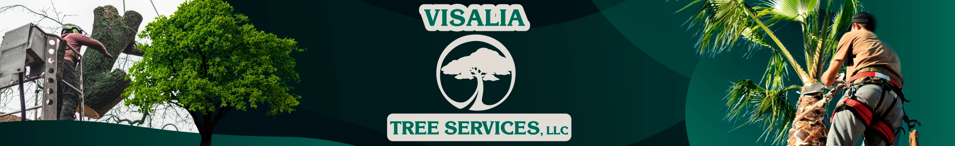Visalia Tree Service, LLC Logo