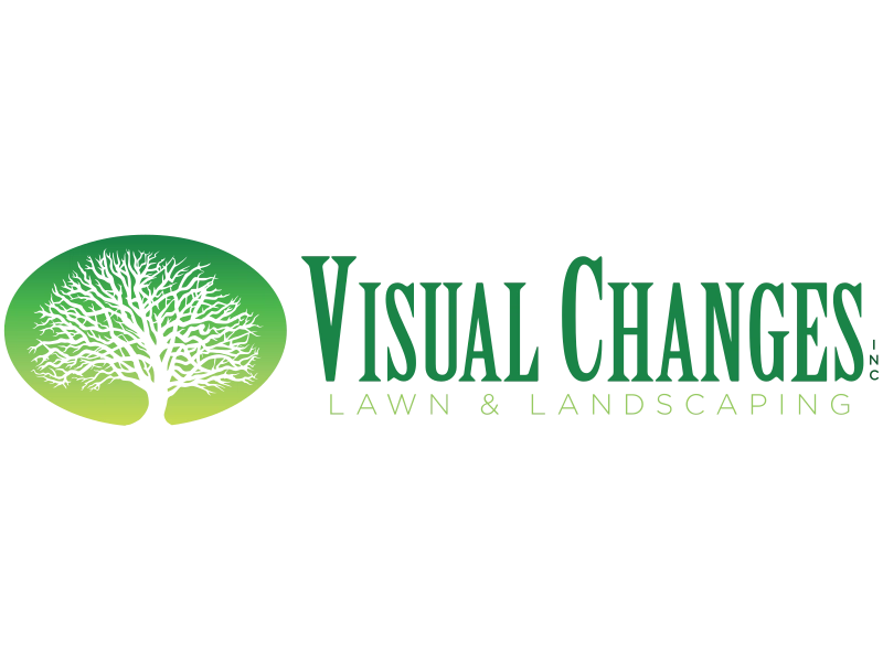 Visual Changes, Inc Logo
