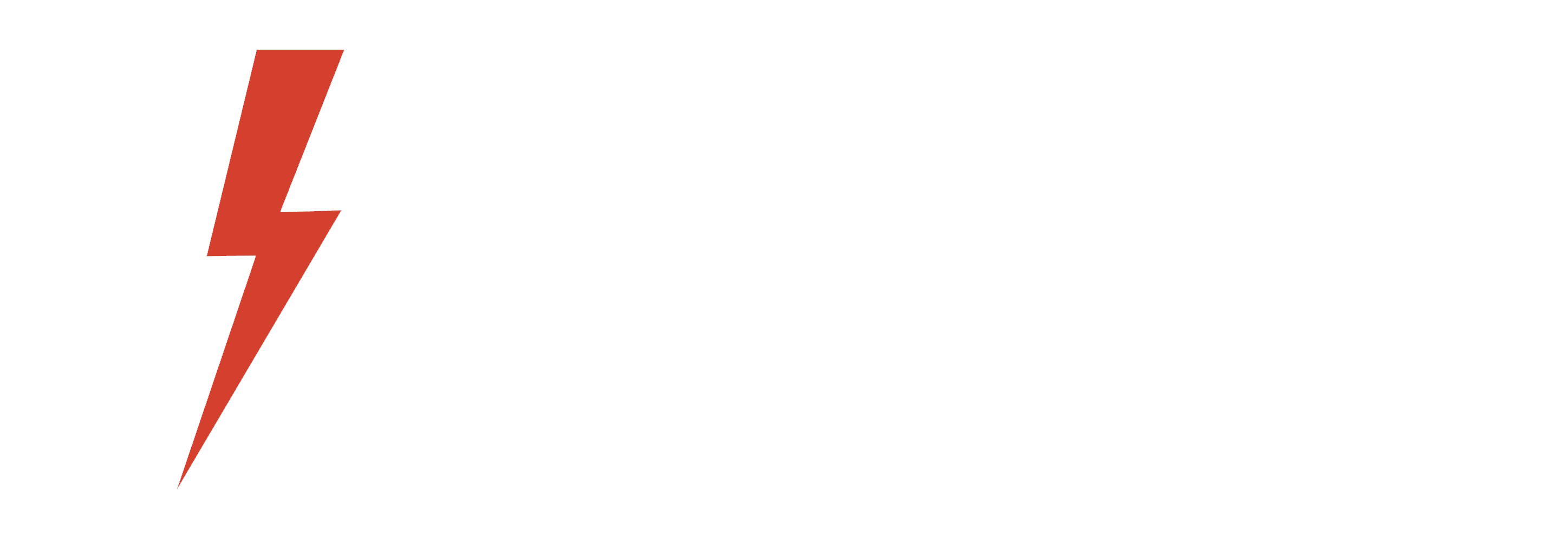 Vitality Electric Inc Logo