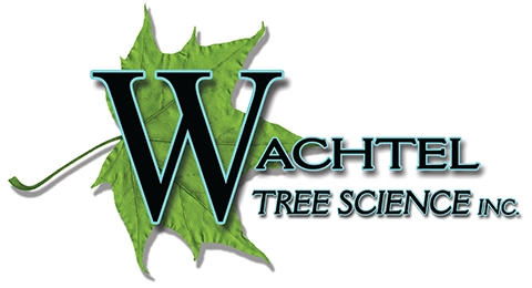 Wachtel Tree Science Logo