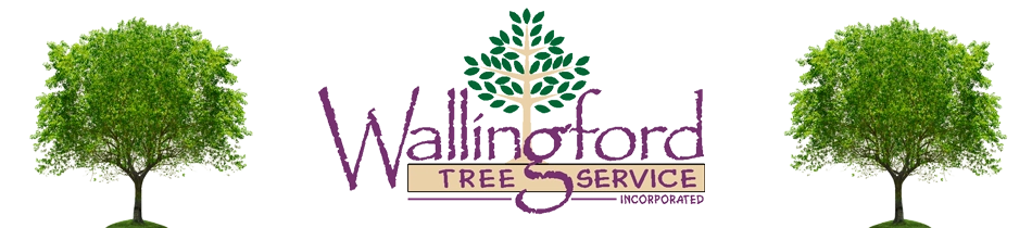 Wallingford Tree Services Logo