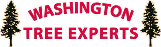 Washington Tree Experts Logo
