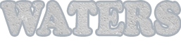 Waters Basement Services, Inc. Logo