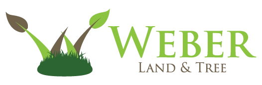 Weber Land and Tree Logo