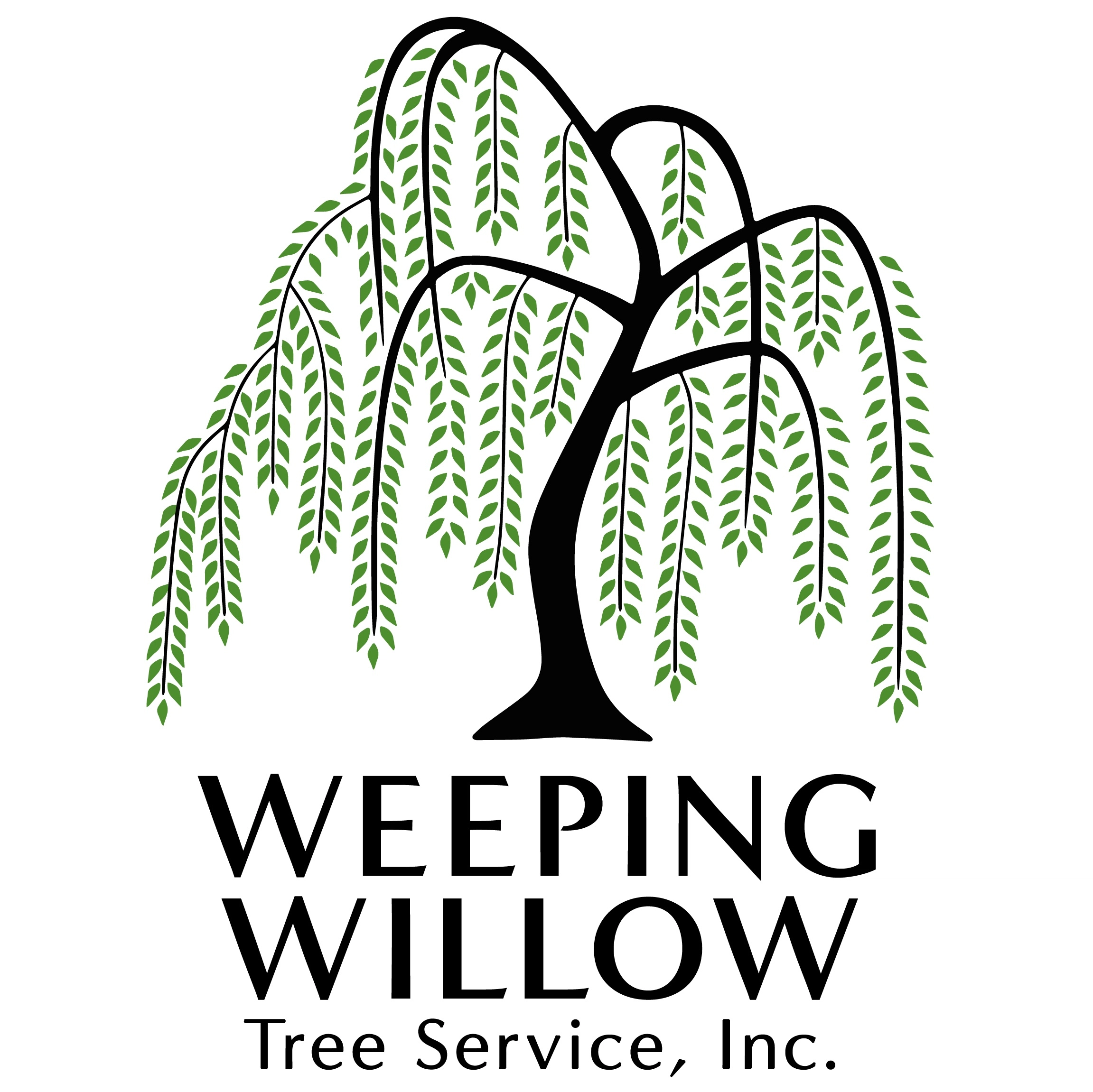 Weeping Willow Tree Services Logo