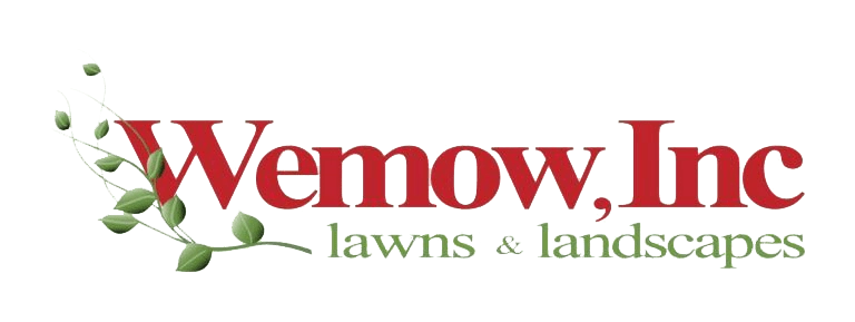 Wemow Inc Logo