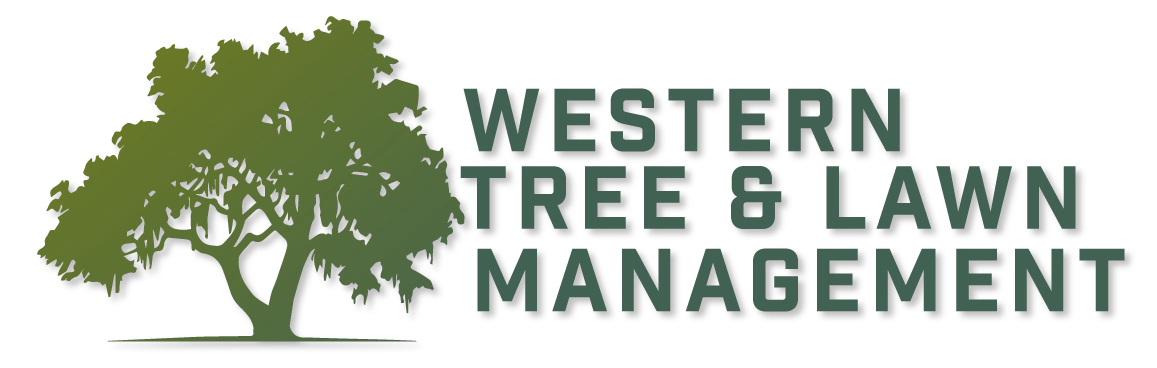 Western Tree & Lawn Management Logo
