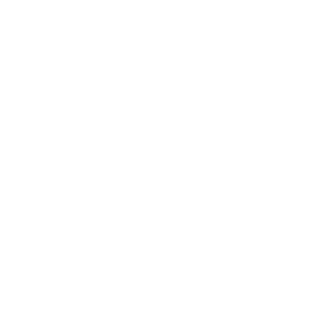 White Eagle Home Improvement Logo
