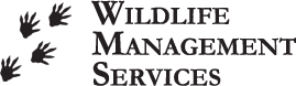 Wildlife Management Services Logo