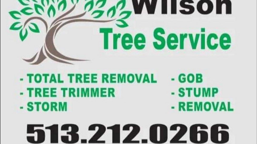 Wilson tree service Logo