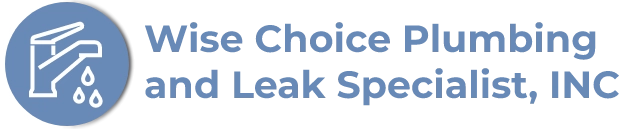 Wise Choice Plumbing and Leak Specialist INC Logo