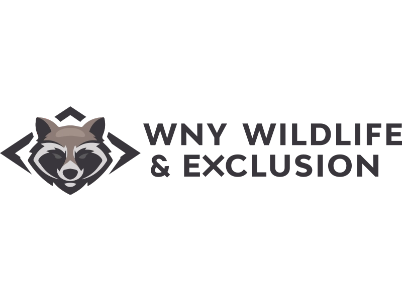 WNY Wildlife & Exclusion Logo