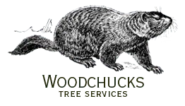 Wood Chucks Tree Service Logo