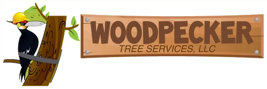 woodpecker tree services Logo