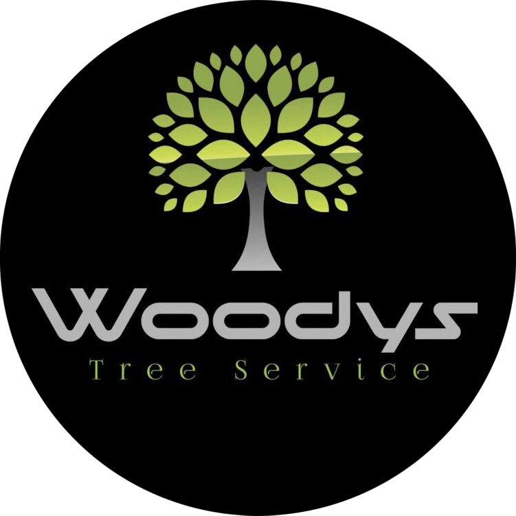 Woodys Tree Service LLC Logo