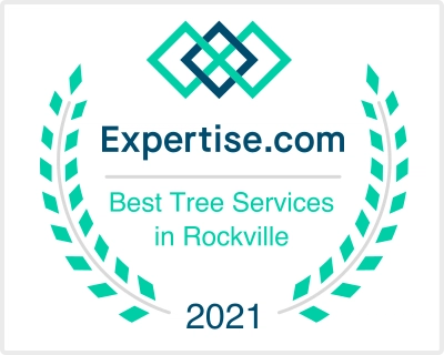 Yanez Tree Service Experts Logo