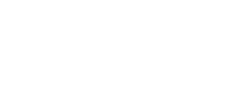 Yankee Home Logo