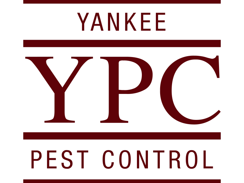 Yankee Pest Control Logo